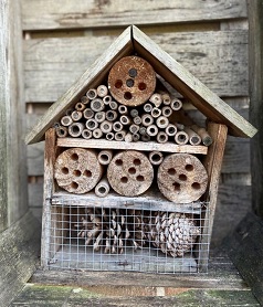 Duurzaam insecten klimaat groene tuin