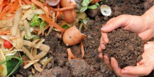 Gratis compost ophalen Nijkerk