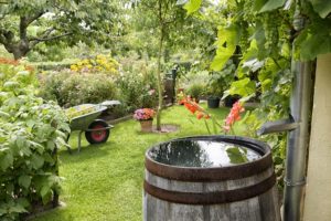 Regentonactie groene tuin klimaatadaptatie Nijkerk duurzaam