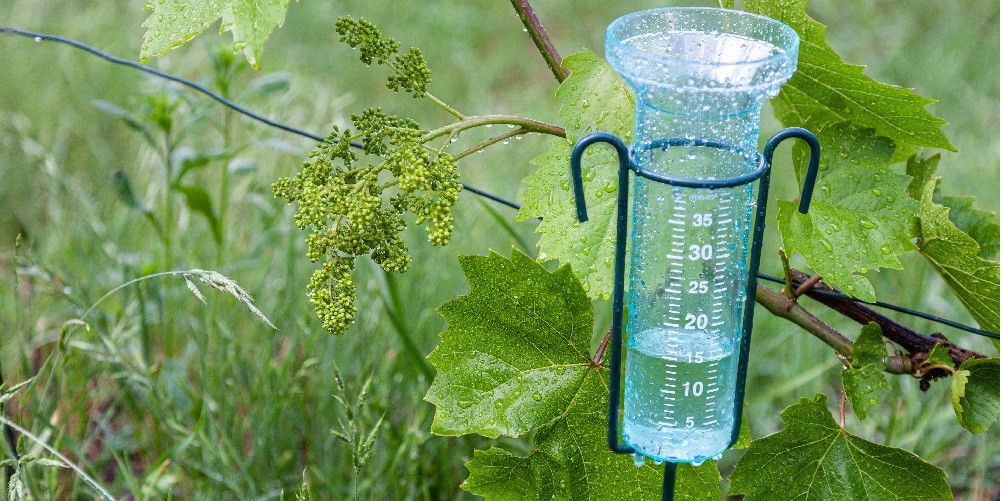 Actie regenmeter Klimaatkamer duurzaam Nijkerk