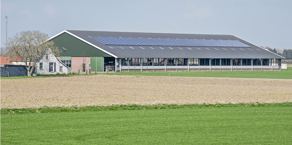Zonnepanelen op dak stal boerderij ondernemer zelf energie opwekken duurzaam duurzaamheid zelfvoorzienend