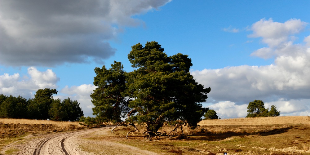 Veluwe Gelderland