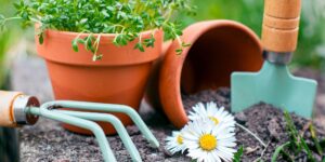 Compost gratis aarde planten tuin gft