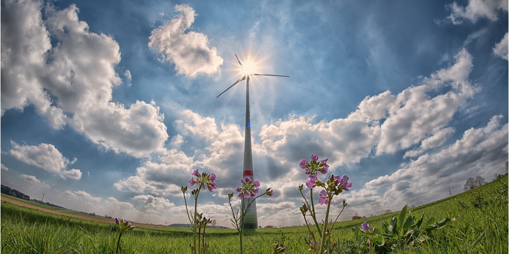 Windmolen in de zon Utrechtwindmolens