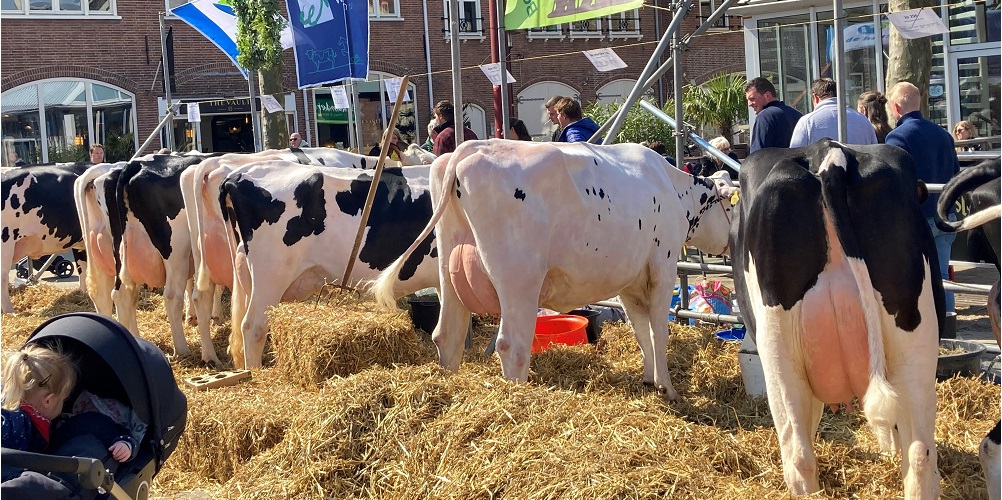 Boerenmaandag Duurzaam Nijkerk Energieloket Energieadviseurs Regenwateradviseurs Klimaatkamer