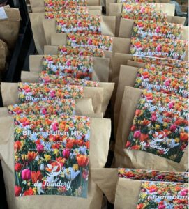 Actie gratis bloembollen klimaatkamer duurzaam Nijkerk Hoevelaken 2023