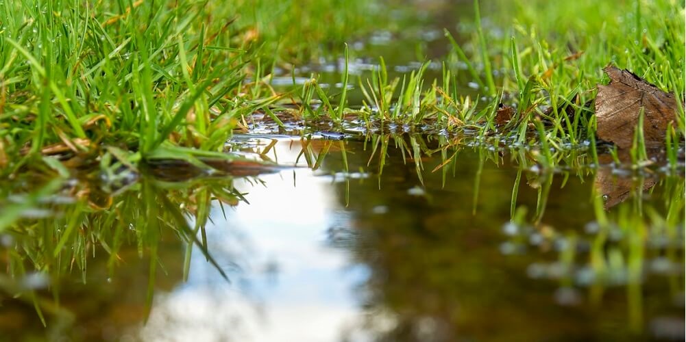 Water in Nijkerkerveen