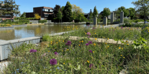 Plein de Bogen Nijkerk