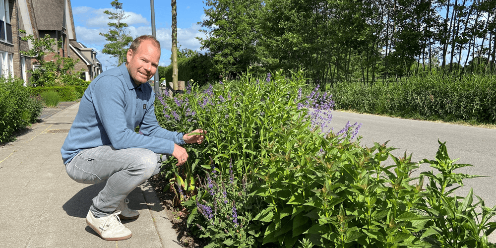 Allard Teunissen groene berm in straat Stimuleringsregeling Duurzaam Nijkerk