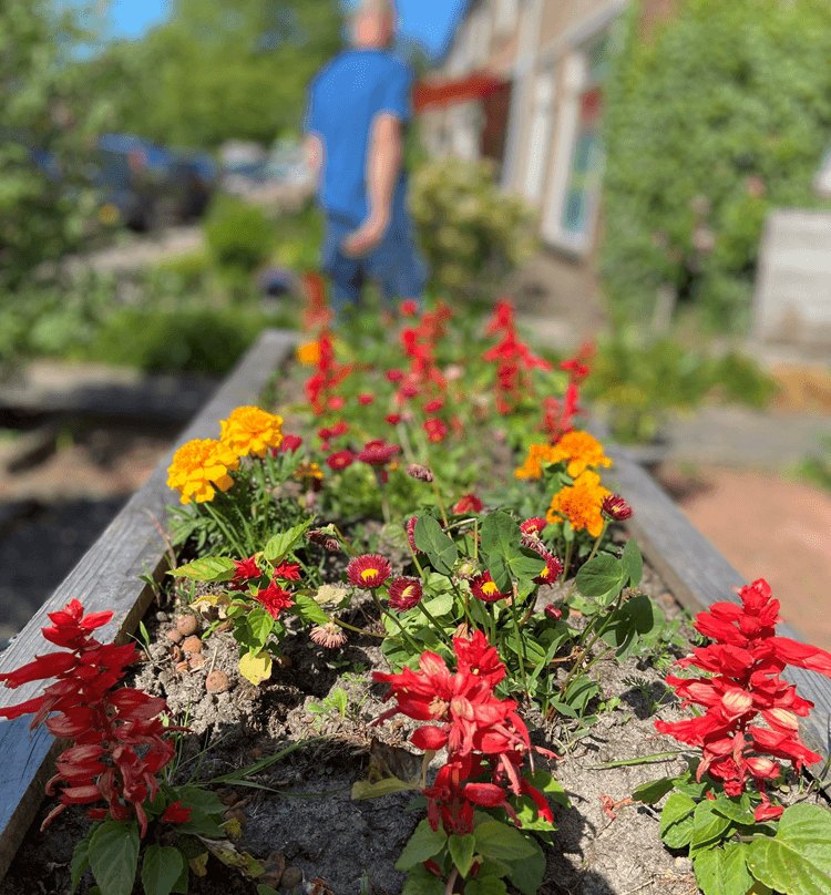 Fleurige bloemen in Paasbos Nijkerk