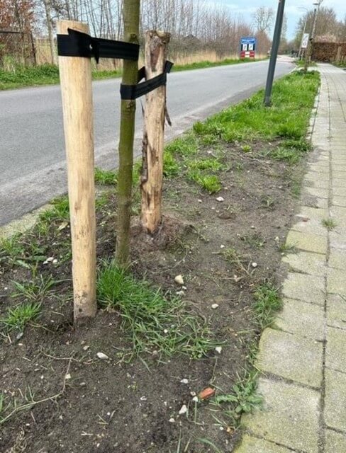 Kale berm Nijkerkerveen project Allard Stimuleringsregeling