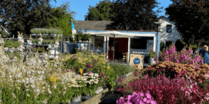 Klimaatkamer Nijkerk zomer