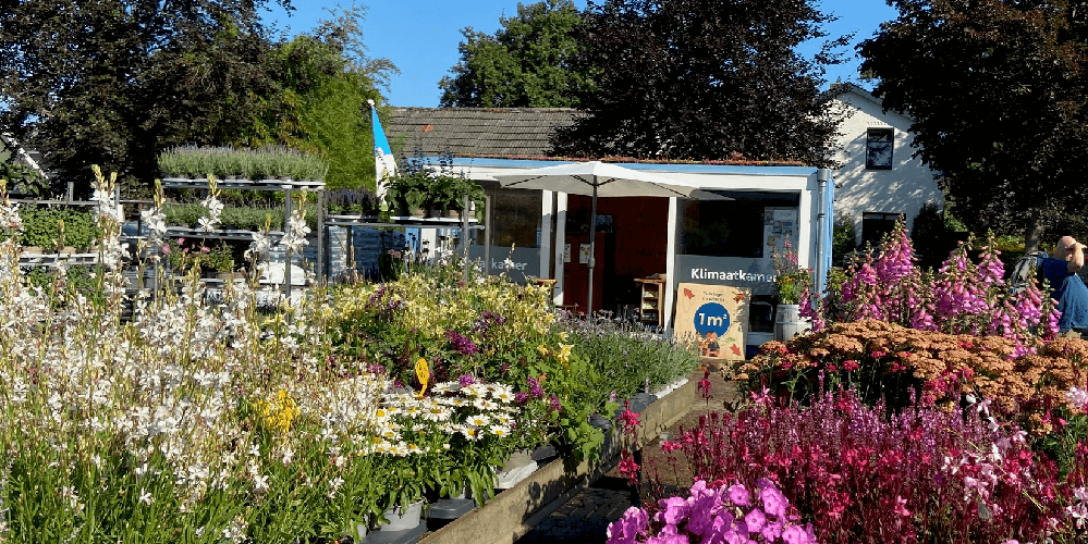 Klimaatkamer Nijkerk zomer