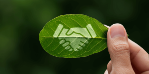 subsidie Energiesysteem Toekomst Nijkerk