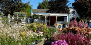 Klimaatkamer zomer tuincentrum Muis planten actie