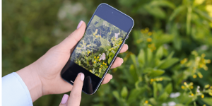 BioBlitz IVN Nijkerk natuur tellen